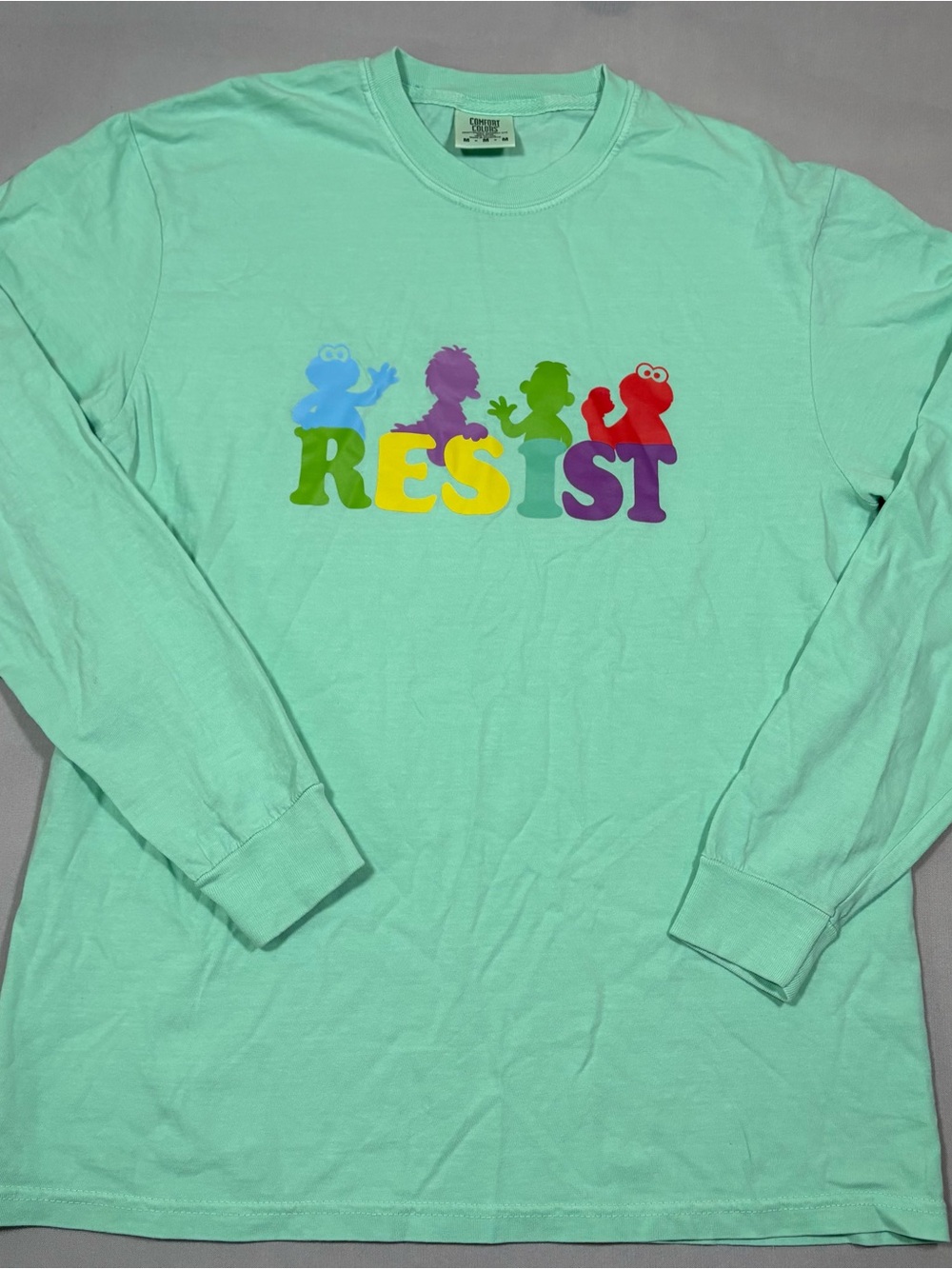 Comfort Colors Medium Green Long Sleeve Crew Neck Sesame Street Resist whimsical